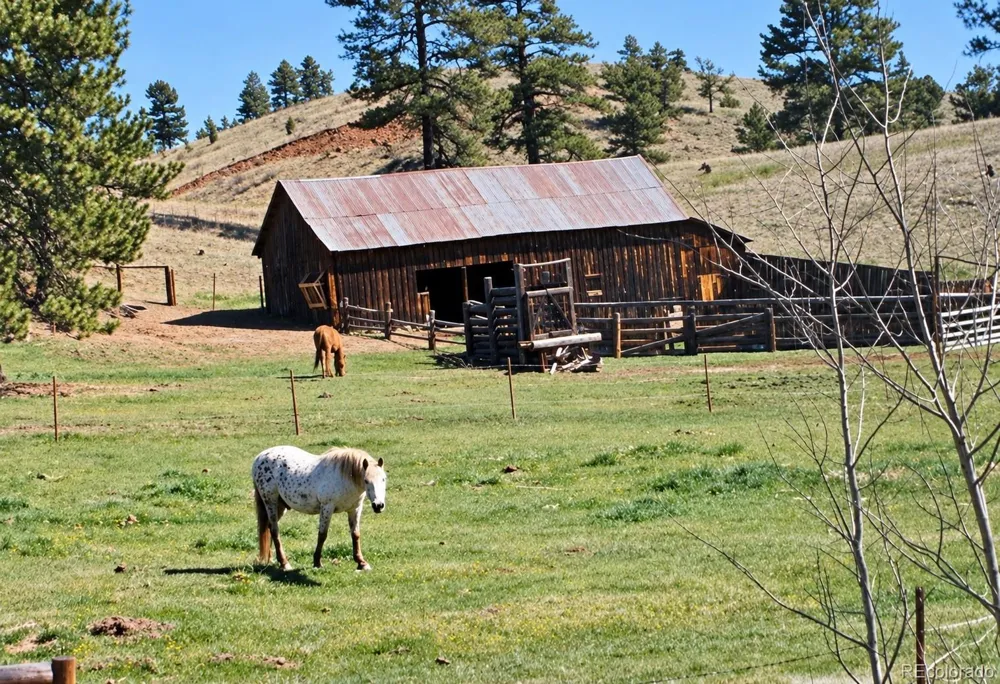 21555 Spring Creek Road Buffalo Creek, CO 80425