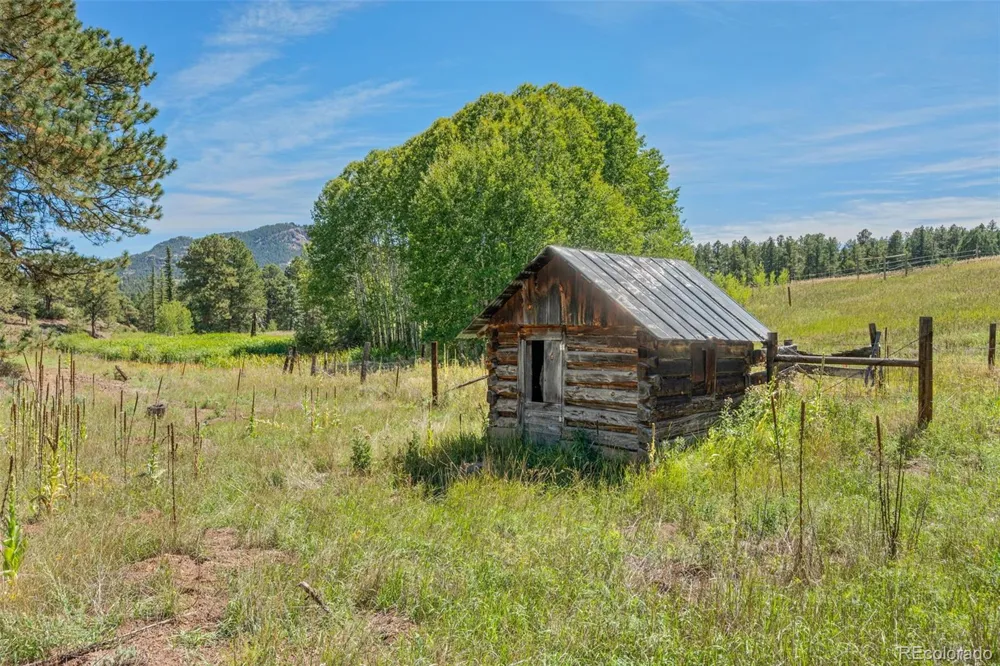 21555 Spring Creek Road Buffalo Creek, CO 80425
