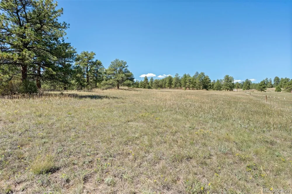 21555 Spring Creek Road Buffalo Creek, CO 80425