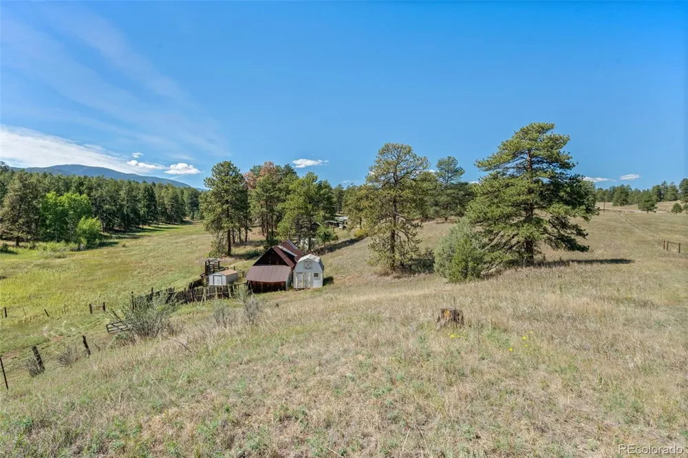 21555 Spring Creek Road Buffalo Creek, CO 80425