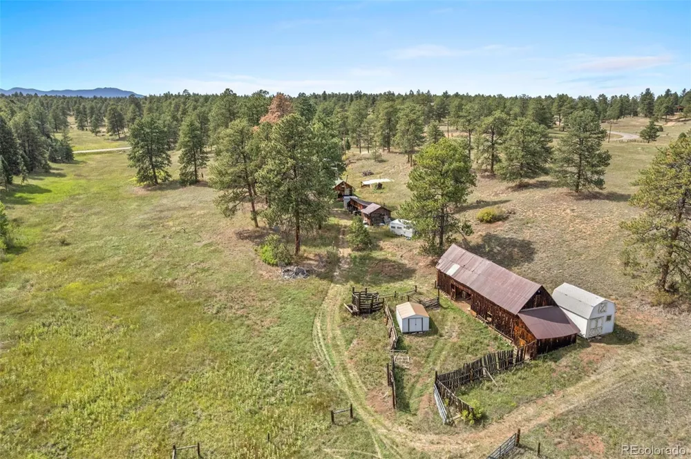 21555 Spring Creek Road Buffalo Creek, CO 80425