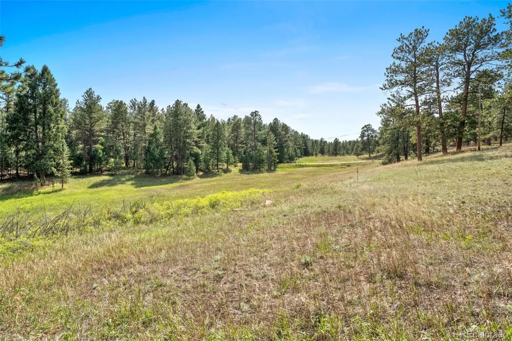 21555 Spring Creek Road Buffalo Creek, CO 80425