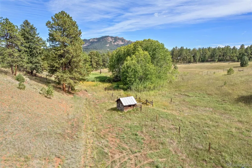 21555 Spring Creek Road Buffalo Creek, CO 80425