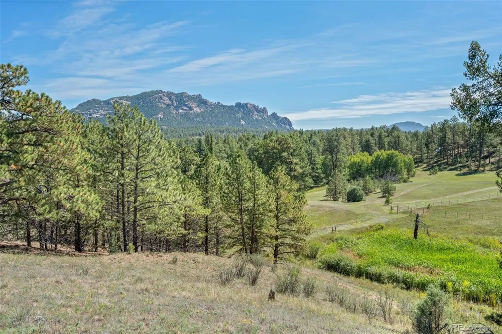 21555 Spring Creek Road Buffalo Creek, CO 80425