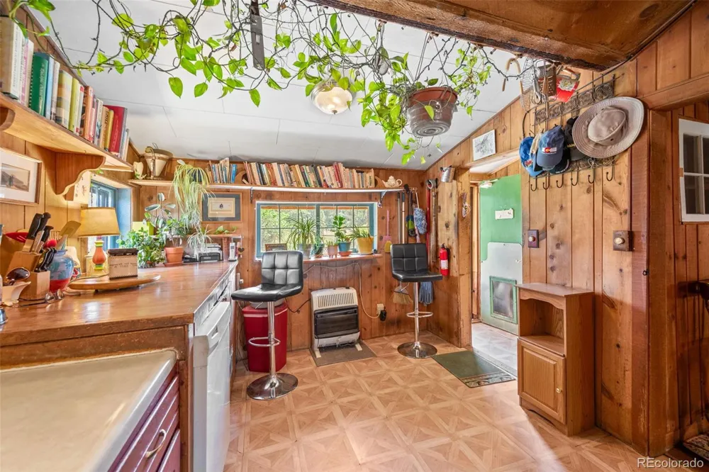 21555 Spring Creek Road Buffalo Creek, CO 80425