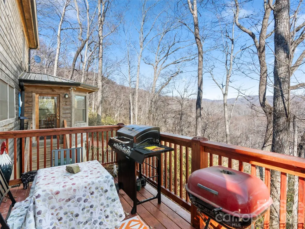 252 Idylwild Lane Black Mountain, NC 28711
