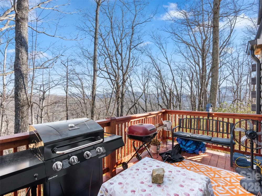 252 Idylwild Lane Black Mountain, NC 28711