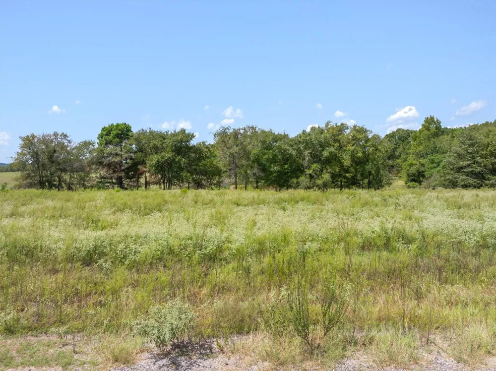 24619 Private Road 8102 Frankston, TX 75763