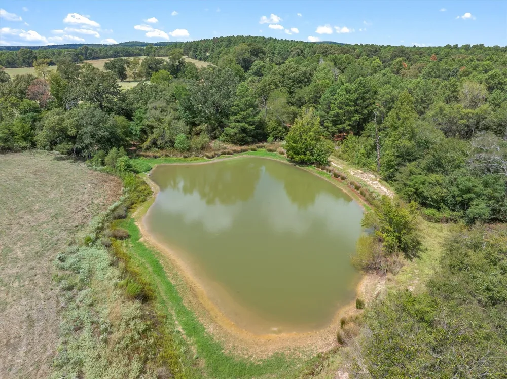 24619 Private Road 8102 Frankston, TX 75763