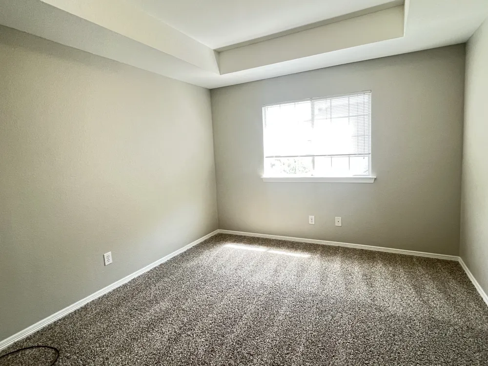 3113 Buena Vista Drive Plano, TX 75025