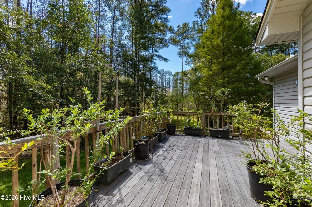 157 Jones Gut Drive Beaufort, NC 28516
