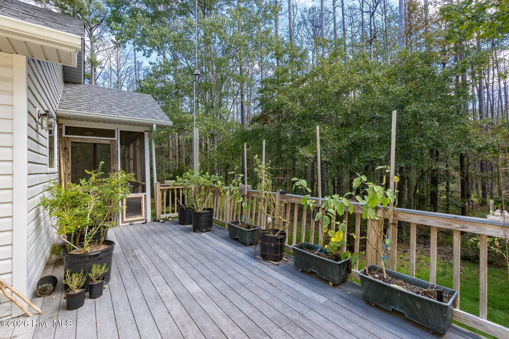 157 Jones Gut Drive Beaufort, NC 28516