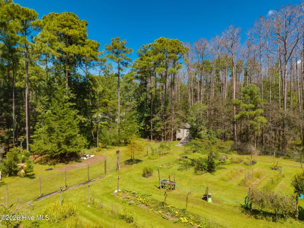 157 Jones Gut Drive Beaufort, NC 28516
