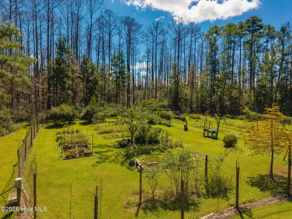 157 Jones Gut Drive Beaufort, NC 28516