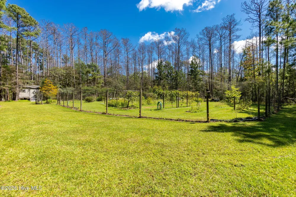157 Jones Gut Drive Beaufort, NC 28516