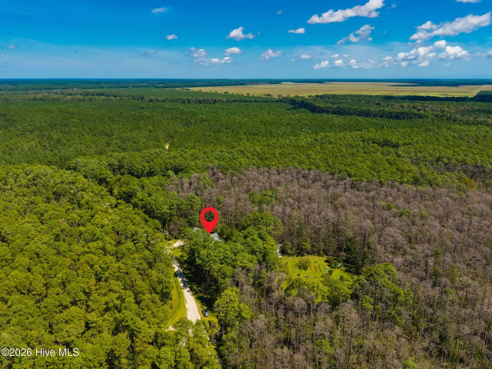 157 Jones Gut Drive Beaufort, NC 28516