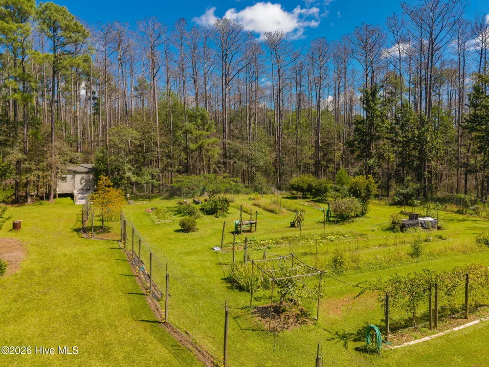 157 Jones Gut Drive Beaufort, NC 28516