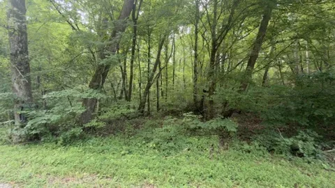 0 Brush Creek Rd