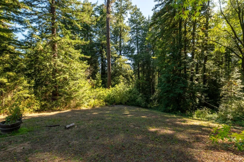 11532 Occidental Road Sebastopol, CA 95472