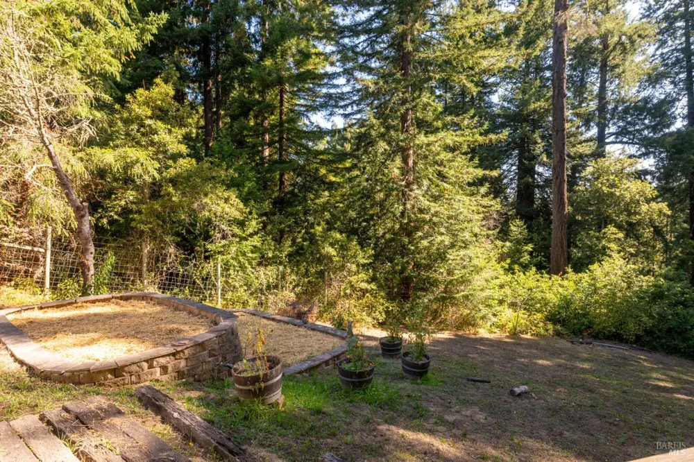 11532 Occidental Road Sebastopol, CA 95472