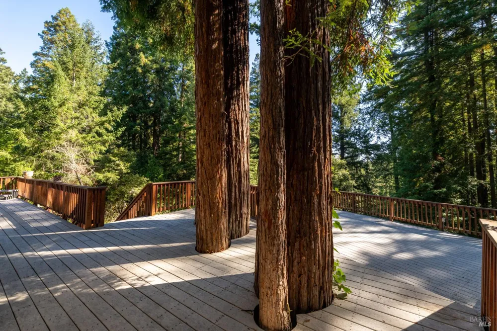 11532 Occidental Road Sebastopol, CA 95472