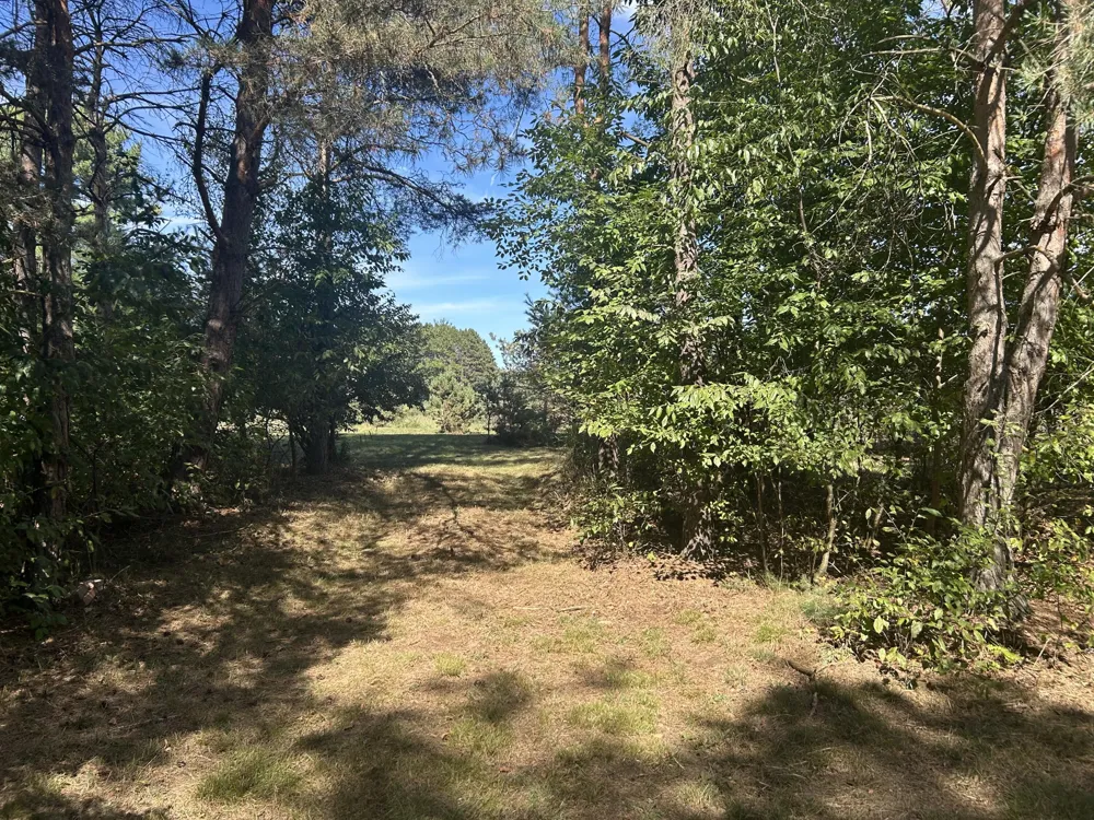 6806 Bantry Bay Court ##1 Canadian Lakes, MI 49346