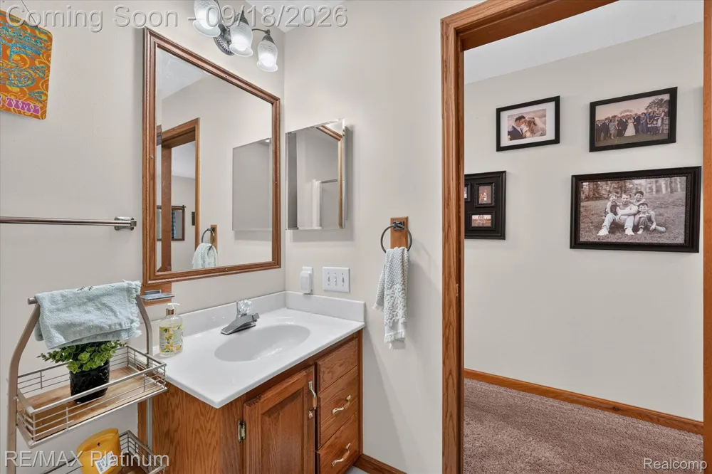 2410 Chestnut Bend Oceola Township, MI 48855