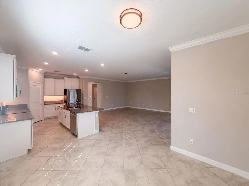 31351 CANNON RUSH DRIVE San Antonio, FL 33576