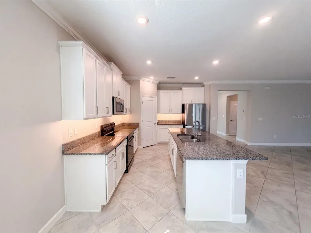 31351 CANNON RUSH DRIVE San Antonio, FL 33576