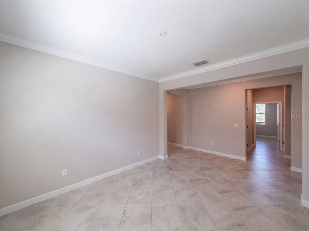 31351 CANNON RUSH DRIVE San Antonio, FL 33576