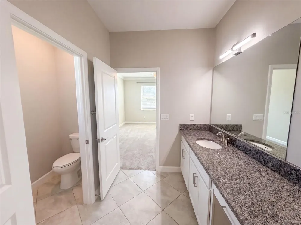 31351 CANNON RUSH DRIVE San Antonio, FL 33576