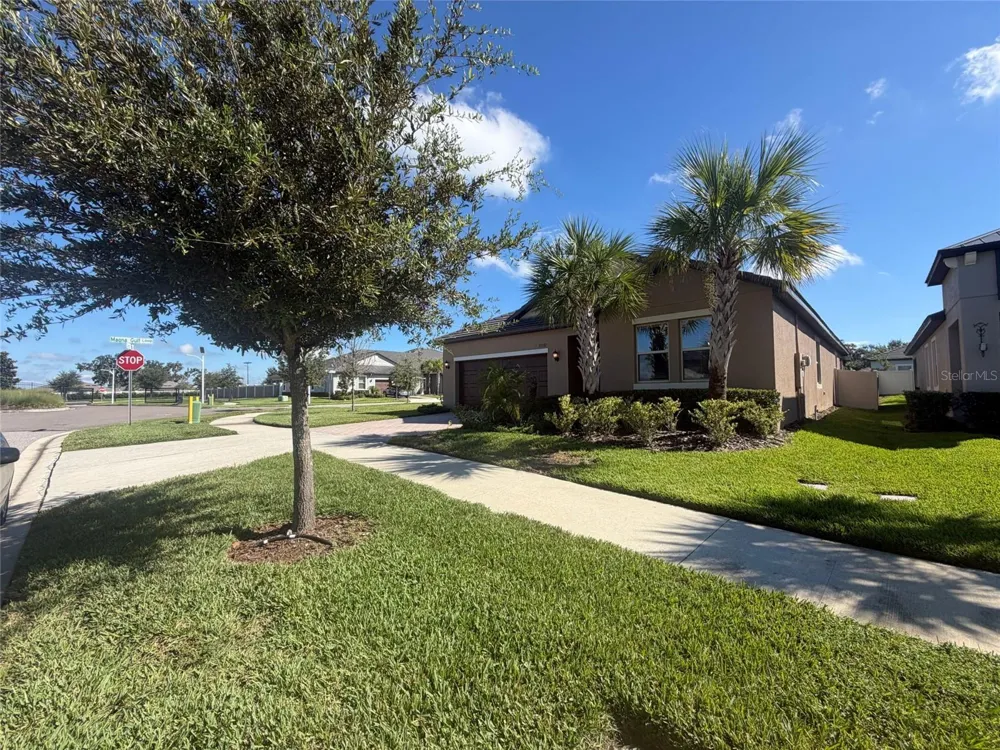 31351 CANNON RUSH DRIVE San Antonio, FL 33576