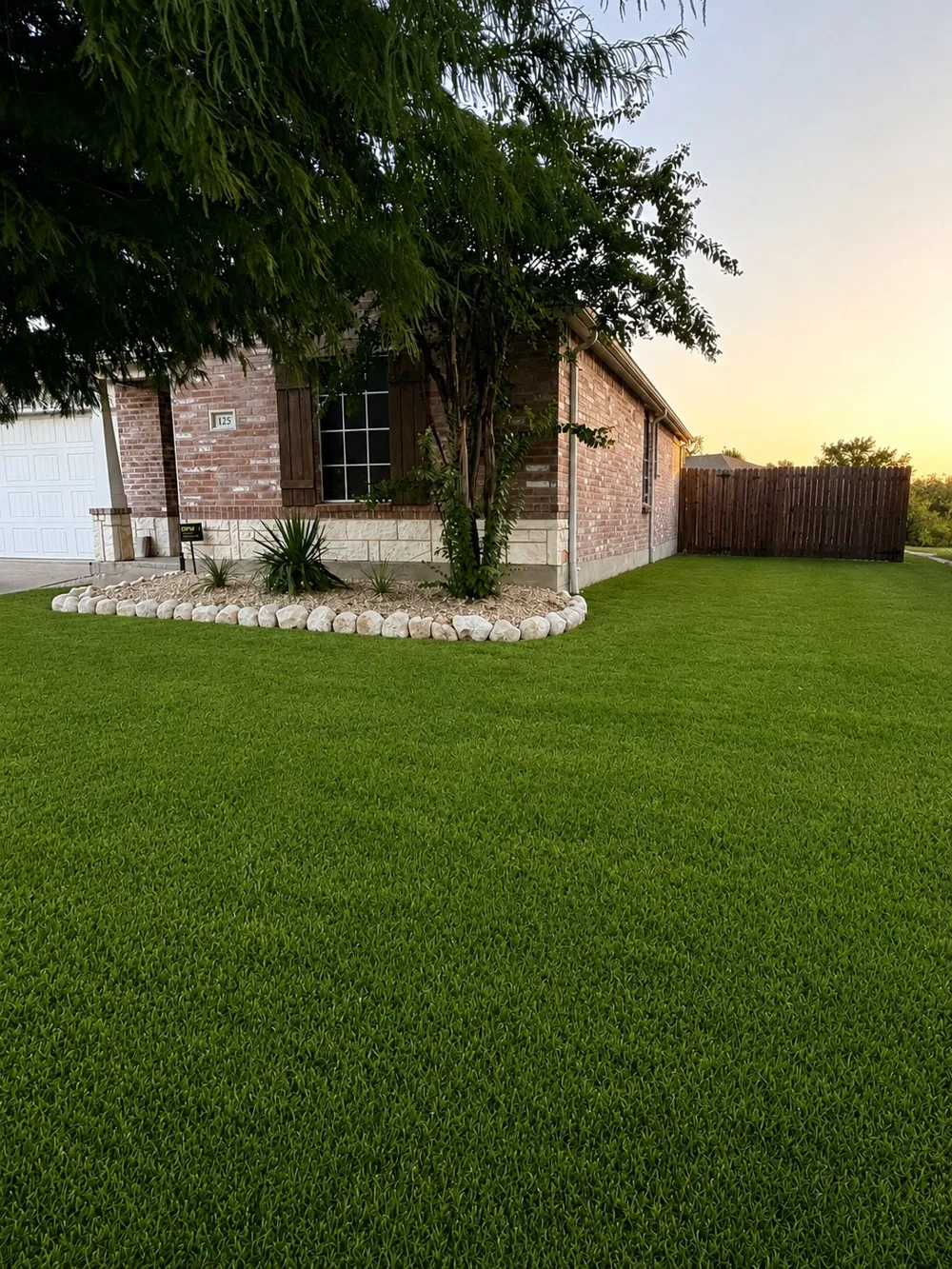125 Abelia Drive Fate, TX 75189