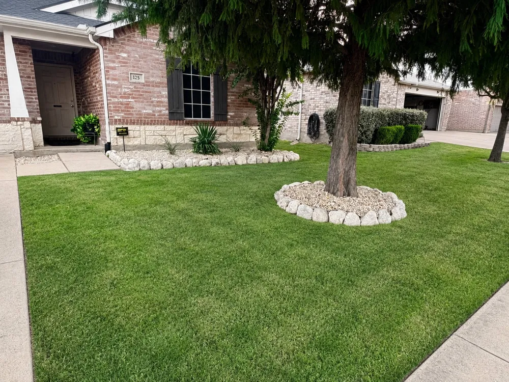 125 Abelia Drive Fate, TX 75189