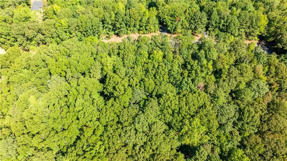 205 Long Cove Drive LaGrange, GA 30240
