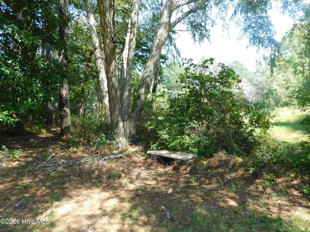 1603 Lake Drive Laurinburg, NC 28352