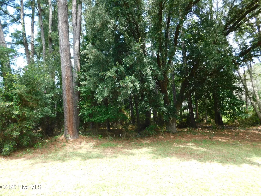 1603 Lake Drive Laurinburg, NC 28352