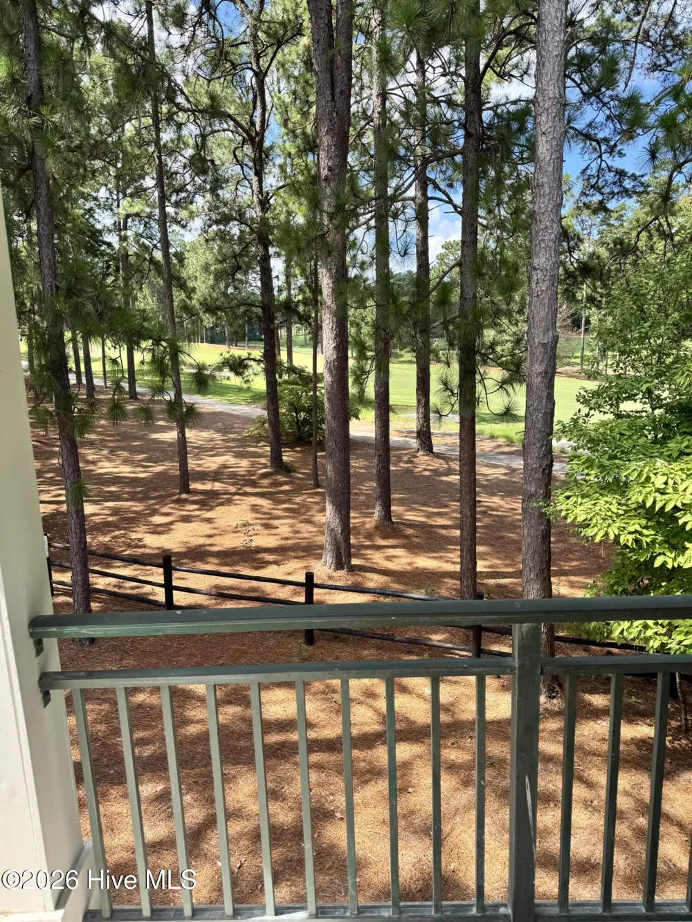 1121 Sandmoore Drive Southern Pines, NC 28387