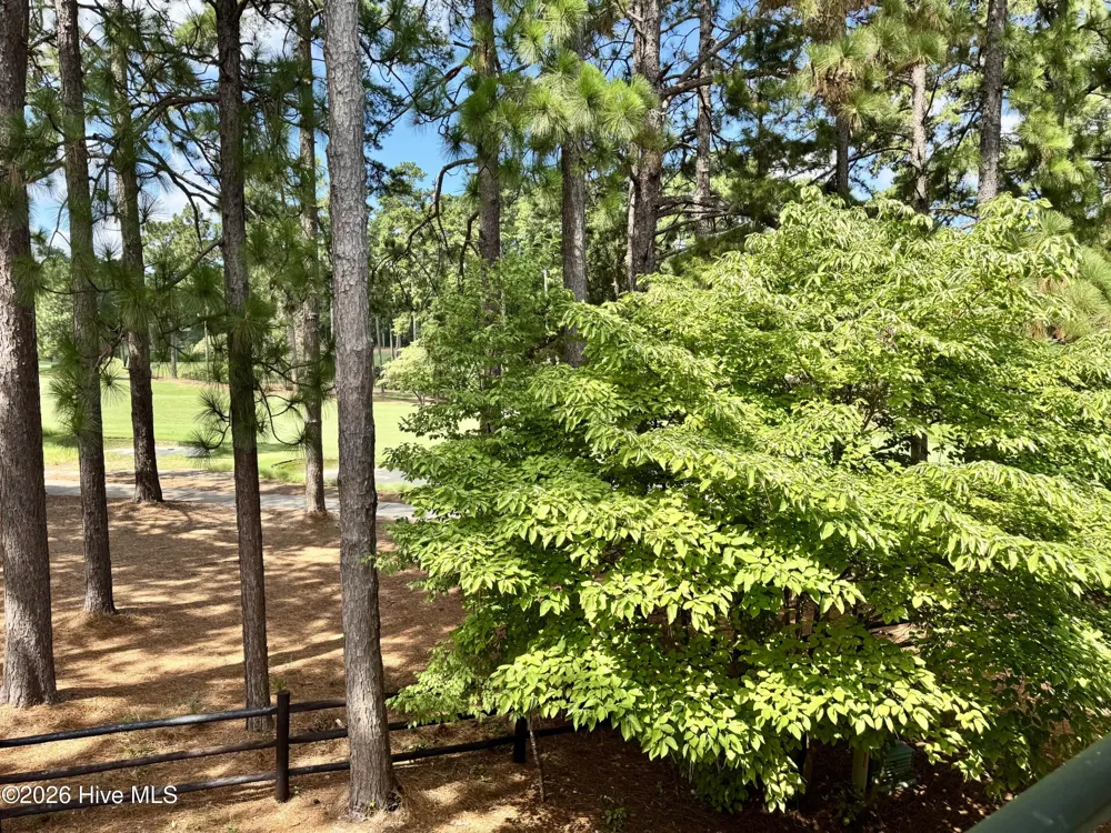 1121 Sandmoore Drive Southern Pines, NC 28387