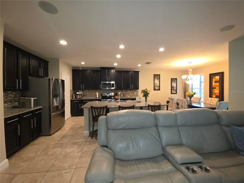 16117 STARLING CROSSING DRIVE Lithia, FL 33547