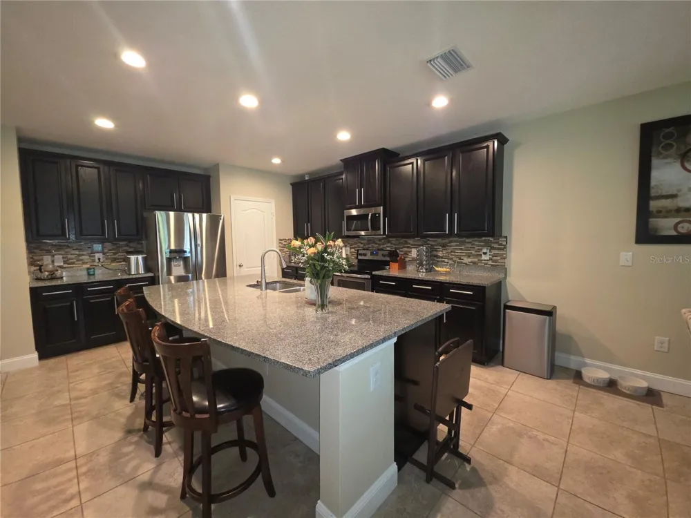 16117 STARLING CROSSING DRIVE Lithia, FL 33547