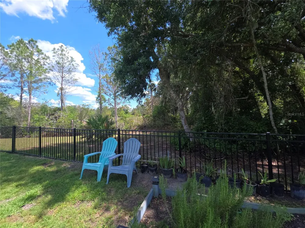 16117 STARLING CROSSING DRIVE Lithia, FL 33547