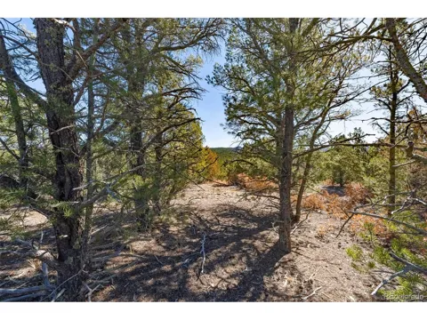 29870 County Rd 16