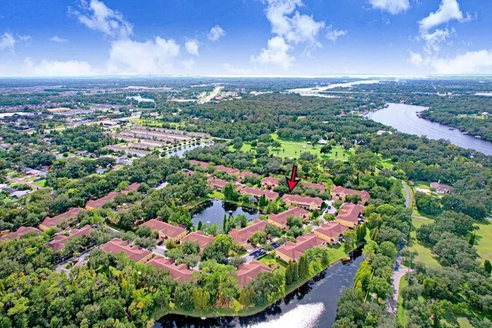 9228 STONE RIVER PLACE Riverview, FL 33578