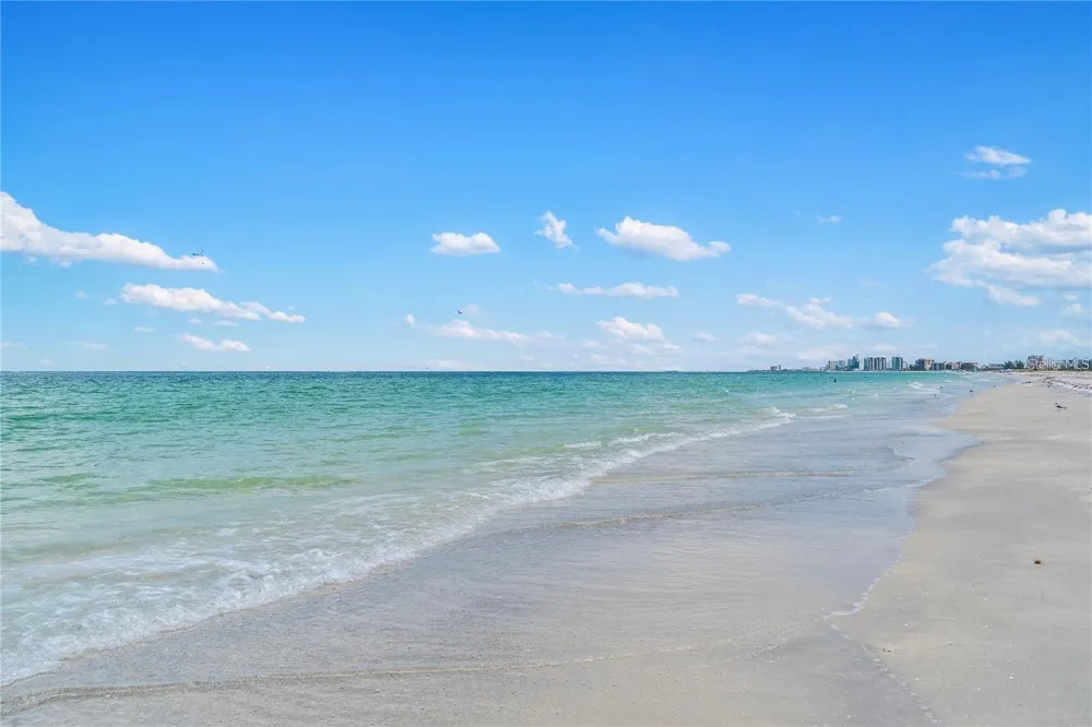 2261 SWEDISH DRIVE #51 Clearwater, FL 33763