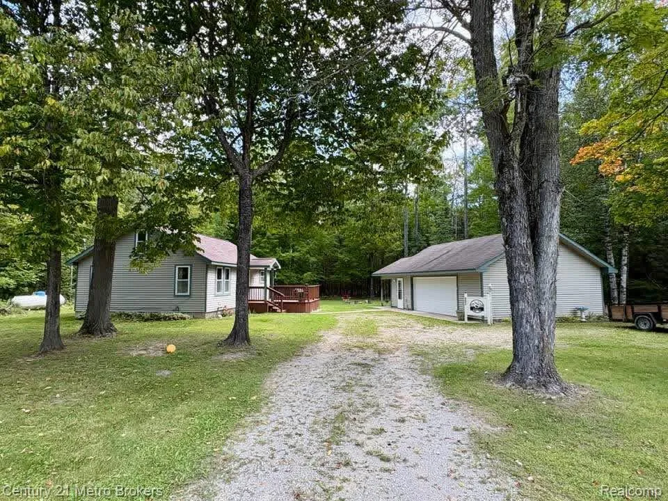 9551 Hall Road Avery Township, MI 49709
