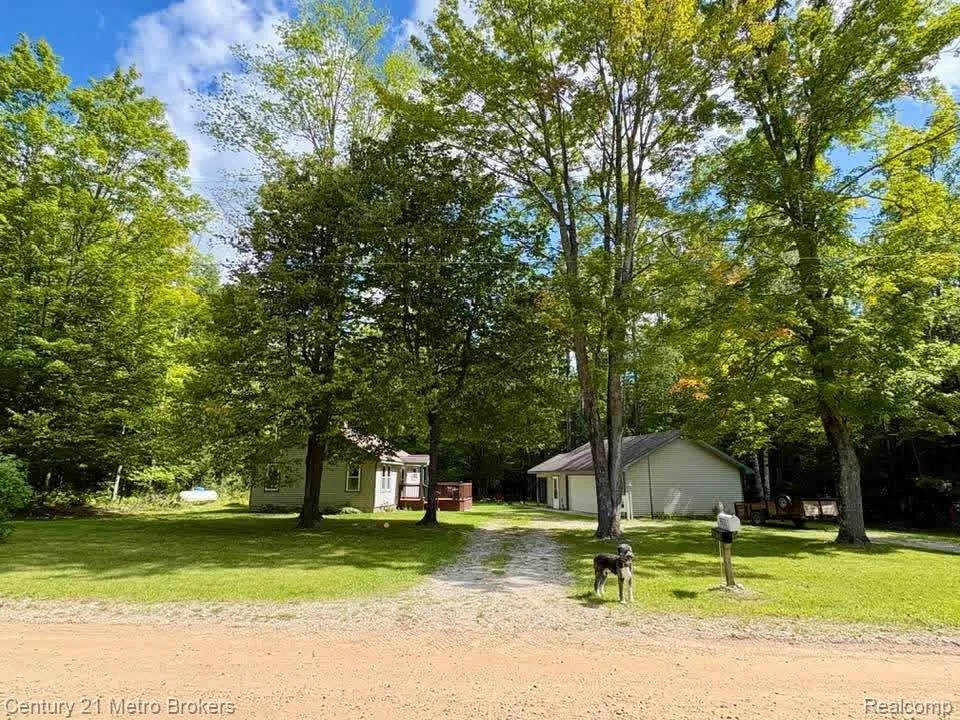 9551 Hall Road Avery Township, MI 49709
