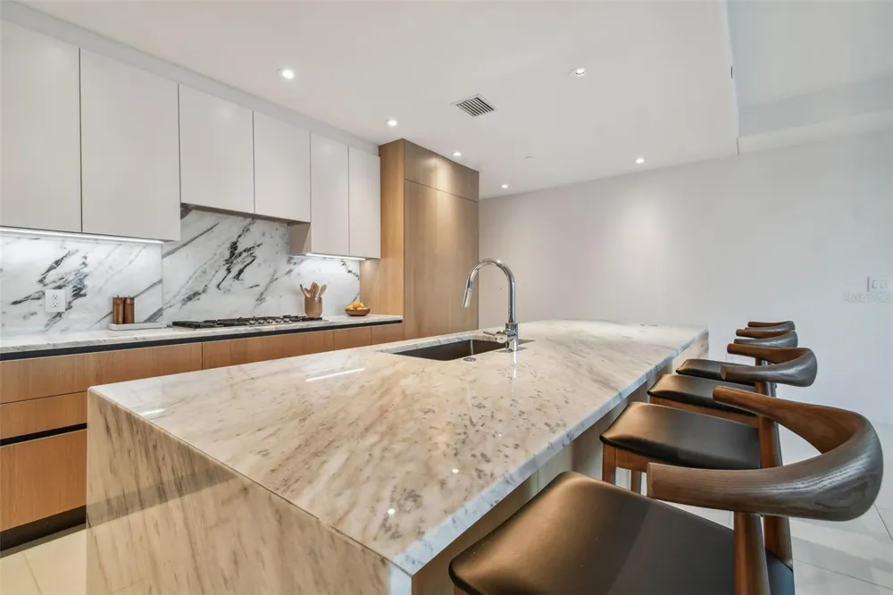 1020 SUNSET POINT ROAD #207 Clearwater, FL 33755