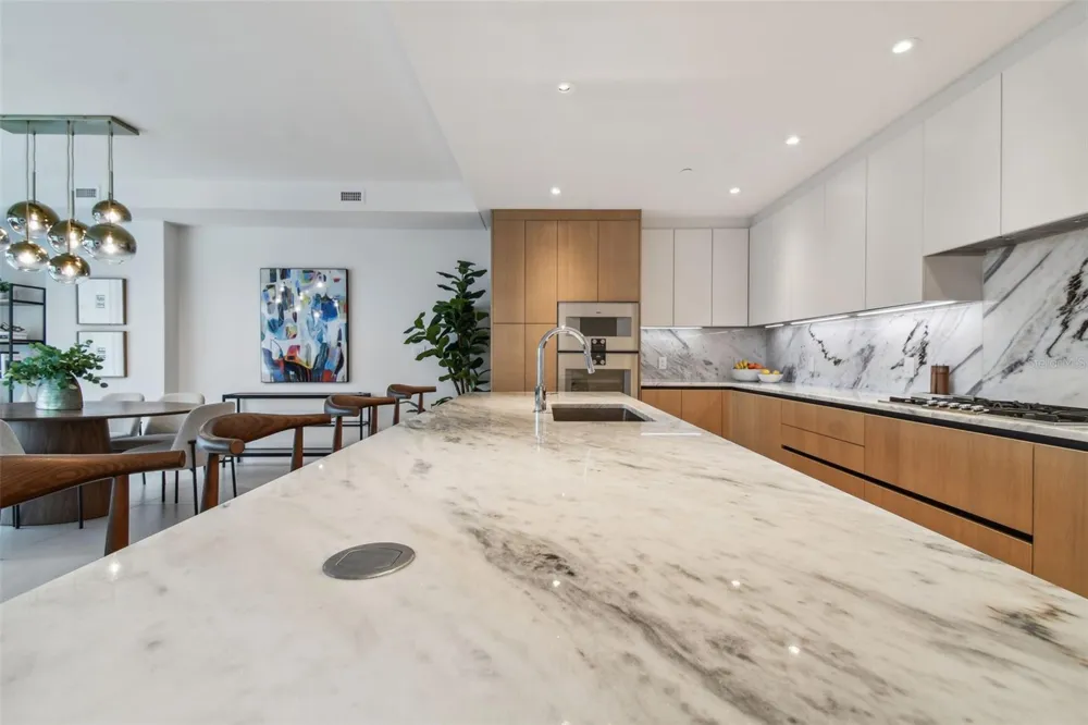 1020 SUNSET POINT ROAD #207 Clearwater, FL 33755