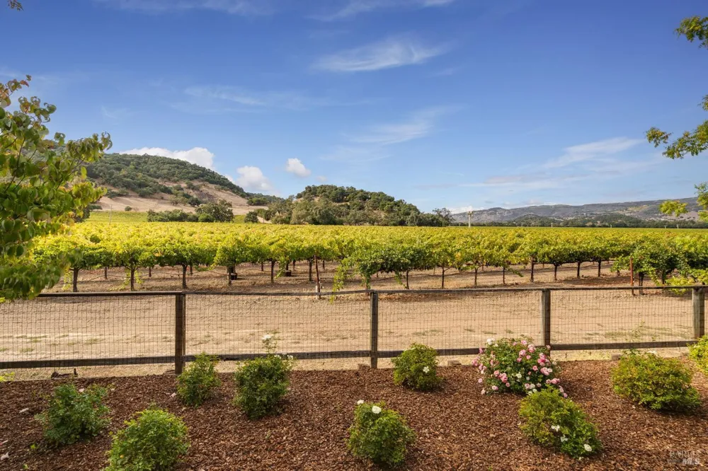6950 Yount Street Yountville, CA 94599